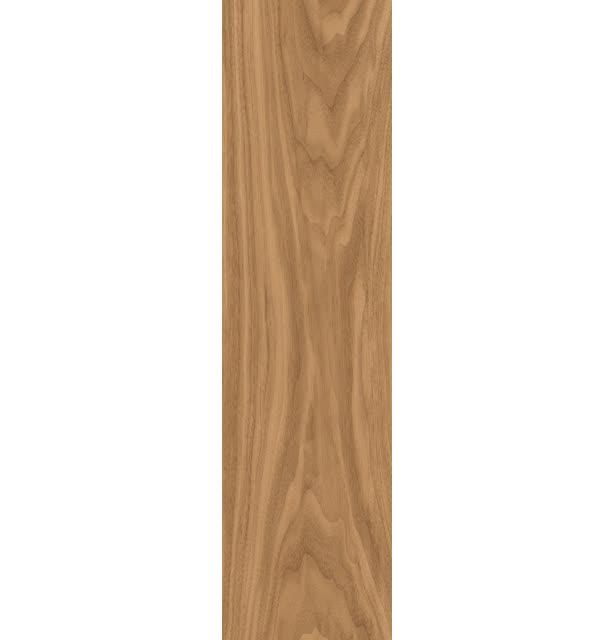 Cipreste 22x90